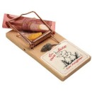 Mausefalle fr Geldgeschenke